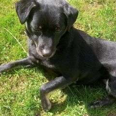 ����: ������� ������  ����������� ������� ������ ������ � �����...� � �. ����������