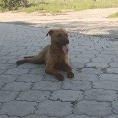 ����: ������� ������  ������� ������� ������ ������ ��������� ������� � �. ������