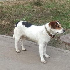 ����: ������� ������  �������� ������� ������ ��������� ������ ����...� � �. �������