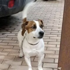 ����: ������� ������ ���� ������ ������ ������ ������� ������ ������, ���� ������ � �. �����