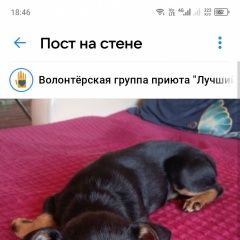 ����: ������� ������  ����������� ������� ������ ������� �������.� � �. ����������