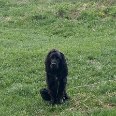 ����: ������� ������  �������� ������ ������ ������ ����� ������...� � �. ��������