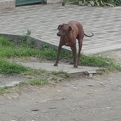 ����: ������� ������ �������� �������� ������ ������ ���������� � �. ���������