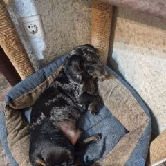 ����: ������� ������ ����� ������������ ������� ������ ������ ������ � �. �����������