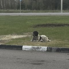 ����: None ��������������� ������� ����������� �������� ����� ������ ������� � �. ����������