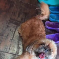 ����: ������� ������  �������� ������ ������� ��� ��������� ����� � �. �����