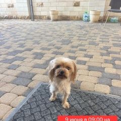 ����: ������� ������  ���������� ������� ������ ����, ������� 9 ����� � �. ���������