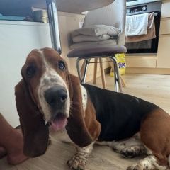 ����: ������� ������ ������-����� �������� ������ ������ ������-����� ��������� � �. ���������