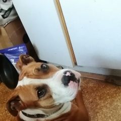 ����: ������� ������  �������� ������ � ��������� �� �� ����������...� � �. ���������