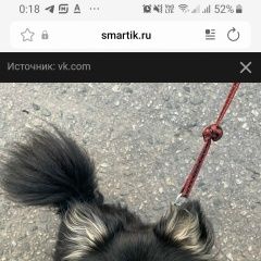 ����: ������� ������  �������� ������ ������ �����-��������� � �. �����-���������