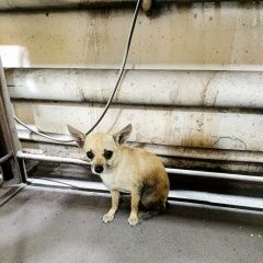 ����: ������� ������  ���������� ������� ������ � �. ���������