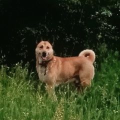 ����: ������� ������ �������-��������� ����� �������� ������ ������ �������� � �. ��������