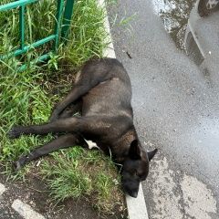 ����: ������� ������  �������� ������ ������ ������ ������ ���������� � �. ����������