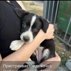 ����: ������� ������  �������� ������ ����� ��������� � �. ���������