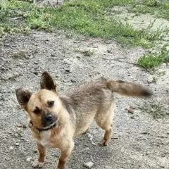 ����: ������� ������  ������ ������� ������ ������ ���������� ������� � �. �����