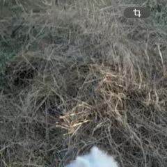 ����: ������� ������ ����������� ���� �������� ������ ����� ���� ����� � �. �����