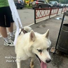 ����: ������� ������  ������� ������� ������ ����� � ������ � �. ������