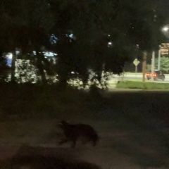 ����: ������� ������  �������� ������ 23:20 8 ���. ��������� � �. ���������