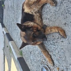 ����: ������� ������ �������� ������� ������������ ������� ������ ������� � �. �����������