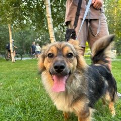 ����: ������� ������  �������� ������� ������ ������ ������(������)� � �. �������
