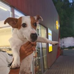 ����: ������� ������ ���� ������ ������ ������� ������� ������ ������ ������ ���� ������ � �. ������
