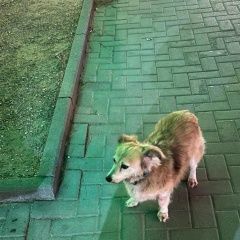 ����: ������� ������  ���������� ������� ������ ������������ ������ � �. ���������