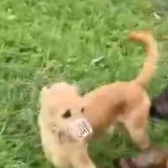 ����: ������� ������  ������� ������� ������ ��������� ������ �...� � �. ������