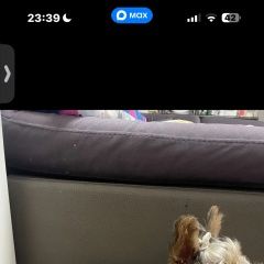 ����: ������� ������ ����������� ������ �������-��-���� ������� ������ � �. ������-��-����