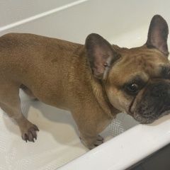 ����: ������� ������ ����������� ������� ������ ������� ������ ������ ������� � �. �����