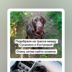 ����: ������� ������  �������� ������ ������ �������� � �. ��������