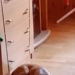 ����: ������� ������  ����� ������� ������ ����� �������, ������� � �. ����