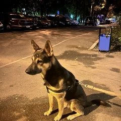 ����: ������� ������ �������� ������� ������� ������� ������ ������ �������, �������.� � �. ������