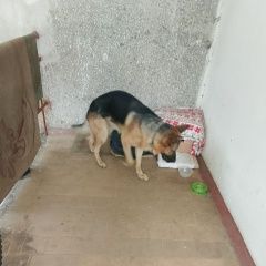 ����: ������� ������ ��������-����������� ������� �������� ������ ������ ������ � ������ ��....� � �. ���������