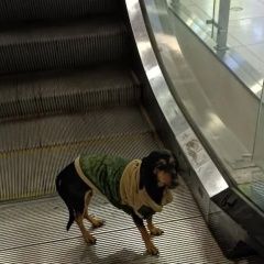 ����: ������� ������  ������� ������� ������ � ������ ������, ����...� � �. ������