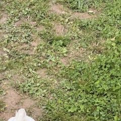 ����: ������� ������ ���� ������ ������ �������� ������ ������ ����������� � �. �����������