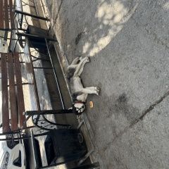 ����: ������� ������ ��������� ����� ������� ������� ������ ������ ����������� � �. ������