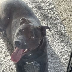 ����: ������� ������  �������� ������� ������ � �. ������ ���������...� � �. �������