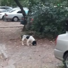 ����: ������� ������ ������� ��������� �������� �������� ������ ������, ���, ������ ��������...� � �. ������-��-����