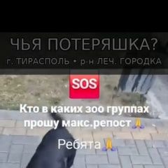 ����: ������� ������ ������� ��������� �������� ���������� ������� ������ ������ ��������� � �. ���������