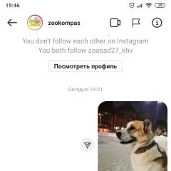 Подробнее об объявлении «Найдена собака Хабаровск» Фото: найдена собака  «Найдена собака Хабаровск» в г. Хабаровск