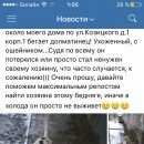 Подробнее об объявлении «Нижний Новгород Найдена собака» Фото: найдена собака Далматин «Нижний Новгород Найдена собака» в г. Нижний Новгород