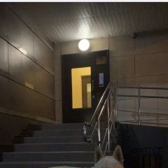 Подробнее об объявлении «Найдена собака Москва» Фото: найдена собака  «Найдена собака Москва» в г. Москва