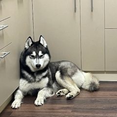 ����: ������� ������ ��������� ����� �������� ������ ������ ����� ����� � �. �����