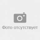 Подробнее об объявлении «Найдена собака Саратов» Фото: найдена собака  «Найдена собака Саратов» в г. Саратов