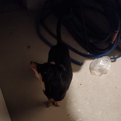 ����: ������� ������  �������� ������� ������ ������ ������ �� ����� � �. �������