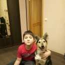 Подробнее об объявлении «Найдена собака Нижний Новгород» Фото: найдена собака  «Найдена собака Нижний Новгород» в г. Нижний Новгород