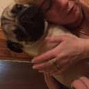 Подробнее об объявлении «Найдена собака кобель мопс срочно ищем хозяев Нижний Новгород» Фото: найдена собака Мопс «Найдена собака кобель мопс срочно ищем хозяев...» в г. Нижний Новгород