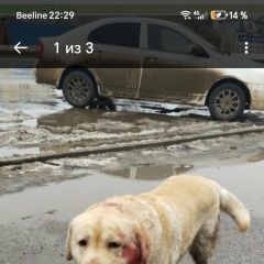 ����: ������� ������ �������� �������� ���������� ������� ������ ������� � �. ���������