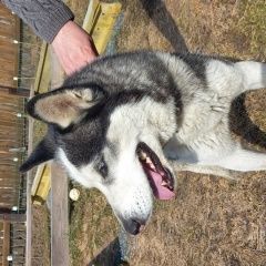 ����: ������� ������ ��������� ����� ������������� ������� ������ ������ ����� � �. ������������