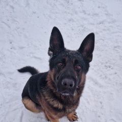 ����: ������� ������ �������� ������� �������� ������ ������ ������� � �. ������